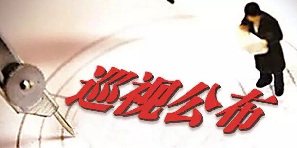 中共西安工業(yè)資產(chǎn)經(jīng)營公司黨委關于巡視整改情況的通報